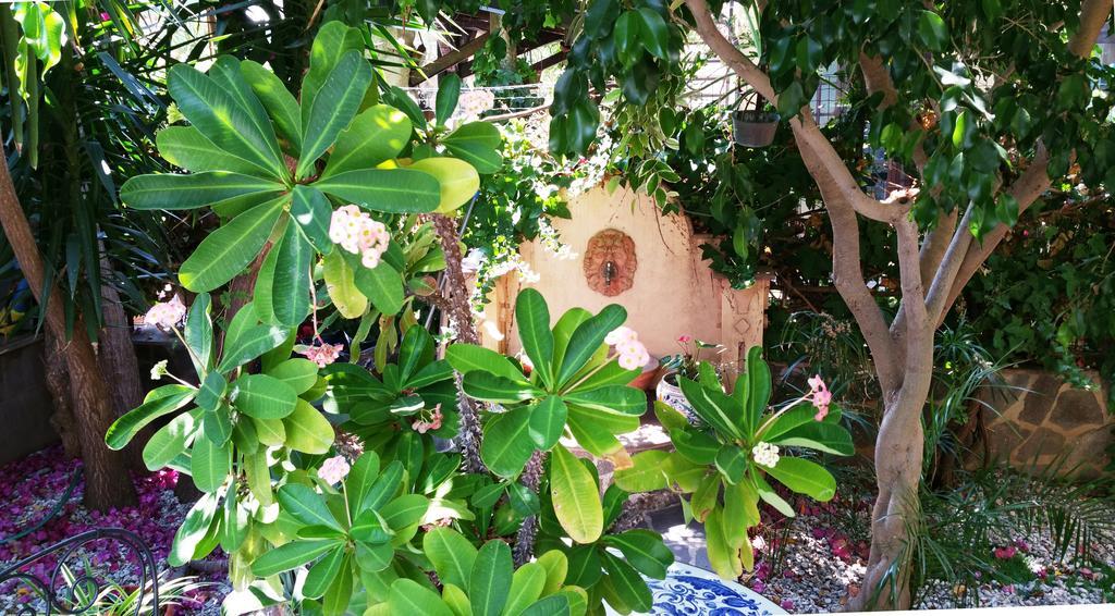B&B Le Terrazze Capo d'Orlando Bagian luar foto